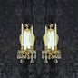 Gorgeous Pair Antique French 2 Arm Brass Crystal Candle Mirror Wall Sconces