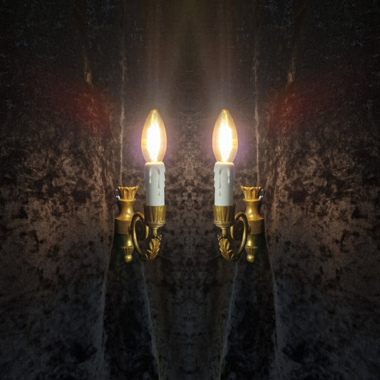 Lovely Small Decorative Pair of Italian 1 Arm Leaf Brass Wall Lights Sconces