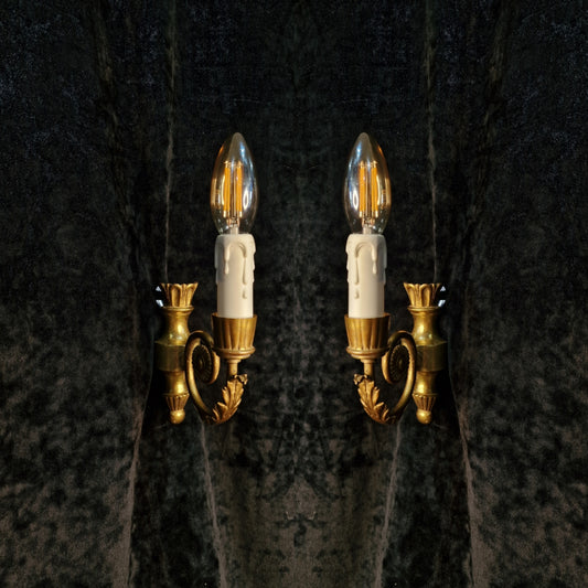 Lovely Small Decorative Pair of Italian 1 Arm Leaf Brass Wall Lights Sconces