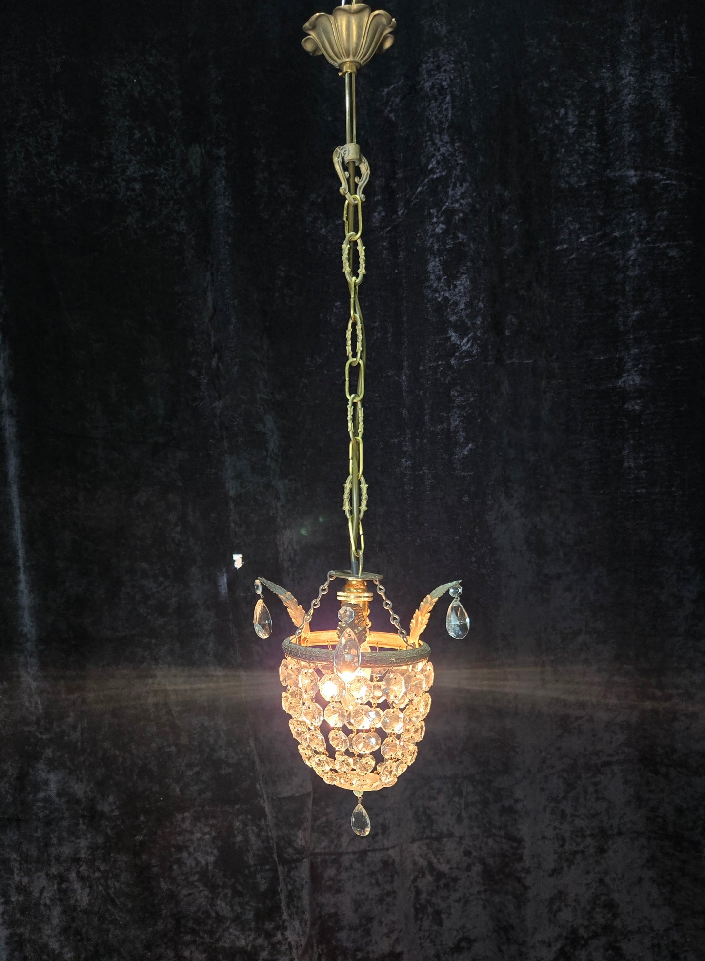 Petite Vintage French Crystal Half Bag Brass 1 Light Leaf Chandelier Light