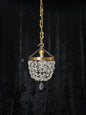 Petite Vintage French Crystal Half Bag Brass Leaf Chandelier Ceiling Light
