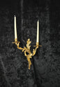 Beautiful Single Antique French Gilt Bronze Brass 2 Arm Leaf Candle Wall Light