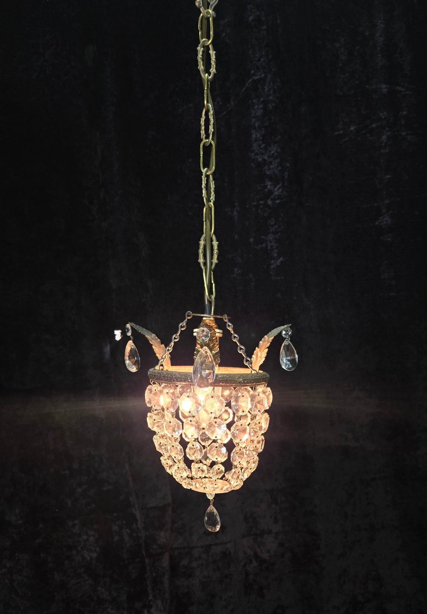 Petite Vintage French Crystal Half Bag Brass 1 Light Leaf Chandelier Light